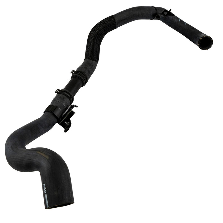 Focus 1.5 EcoBlue Lower Radiator Hose Manual 2020-Onwards