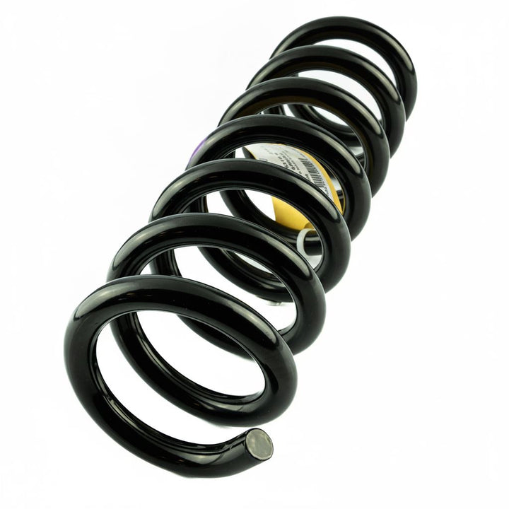 Ranger N/S Front Coil Spring Violet x1 2019-2023