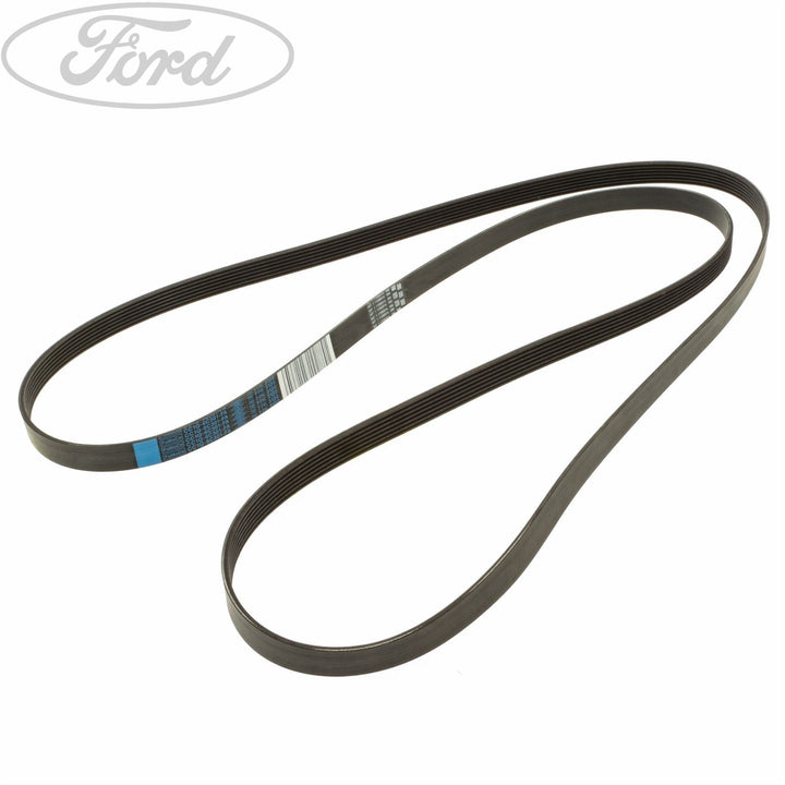 TRANSIT DRIVE V BELT