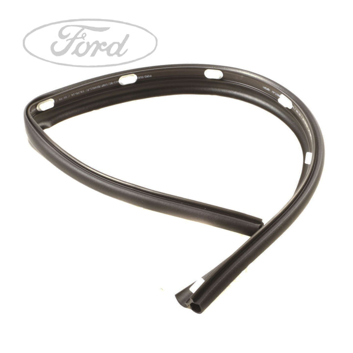BODY SEALS