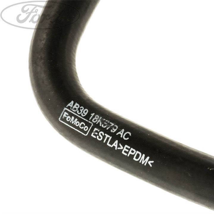 RADIATOR HOSES