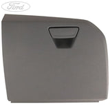GLOVE COMPARTMENT DOOR