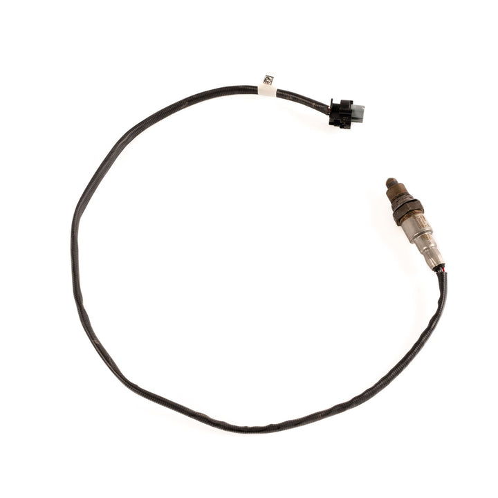 1.0 EcoBoost Post Cat Exhaust Gas Oxygen Sensor 2017-2023