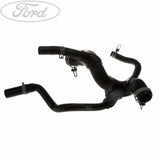RADIATOR HOSE