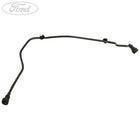 HOSE