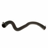 RADIATOR HOSES