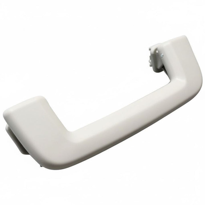 ASSIST HANDLE