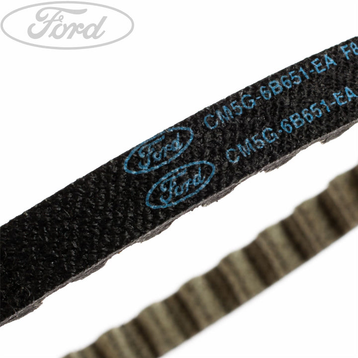 FOCUS B-MAX FIESTA ECOBOOST OIL PUMP DRIVE BELT