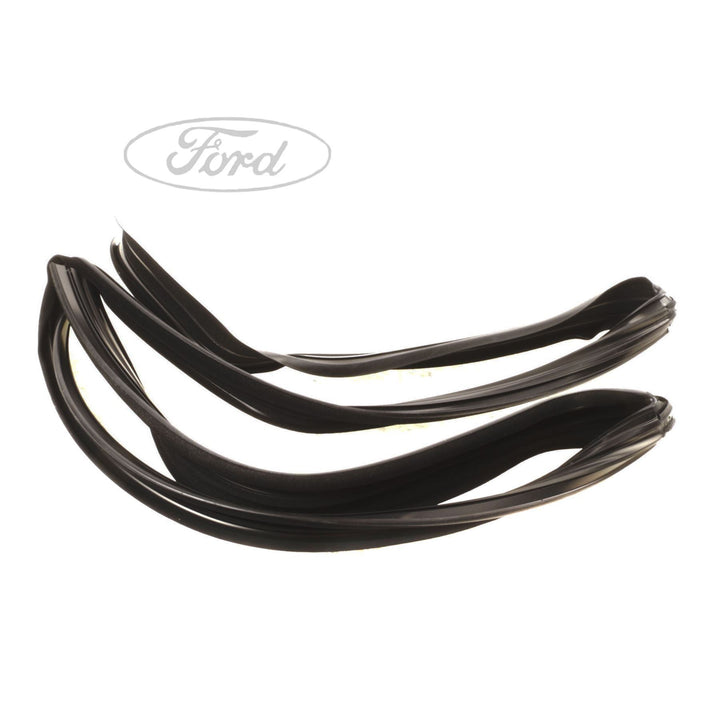 FIESTA N/S FRONT DOOR GLASS RUN SEAL