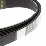 TRANSIT DRIVE V BELT
