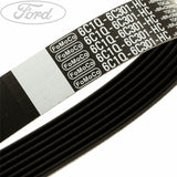 TRANSIT DRIVE V BELT