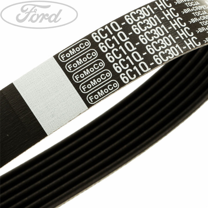TRANSIT DRIVE V BELT
