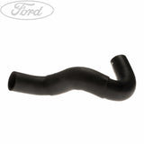 RADIATOR HOSES