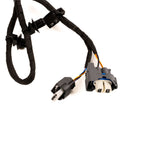 Focus Fog Lamp Engine Gearbox Parking Sensor Wire 2019-2022