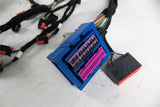TRANSIT/TOURNEO MAIN WIRING 2013-2013
