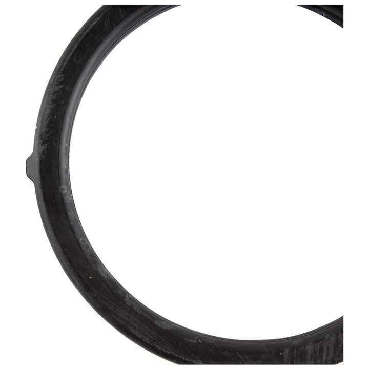 THERMOSTAT SEAL