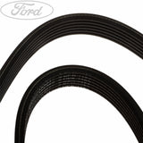 DRIVE BELT