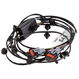 FOCUS FRONT FOG LAMP WIRING LOOM