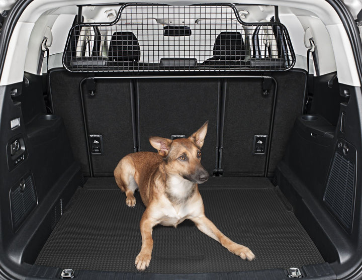 S-MAX LOAD RETENTION GUARD WITH FITTING  05/2015