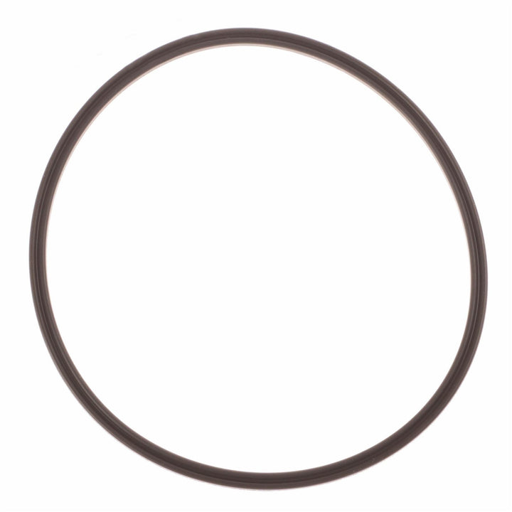 FUEL TANK PUMP GASKET