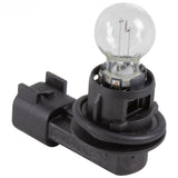 SOCKET