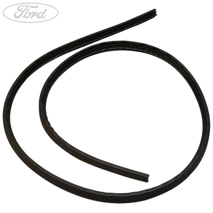 FIESTA REAR N/S DOOR WEATHERSTRIP SEAL 2012-