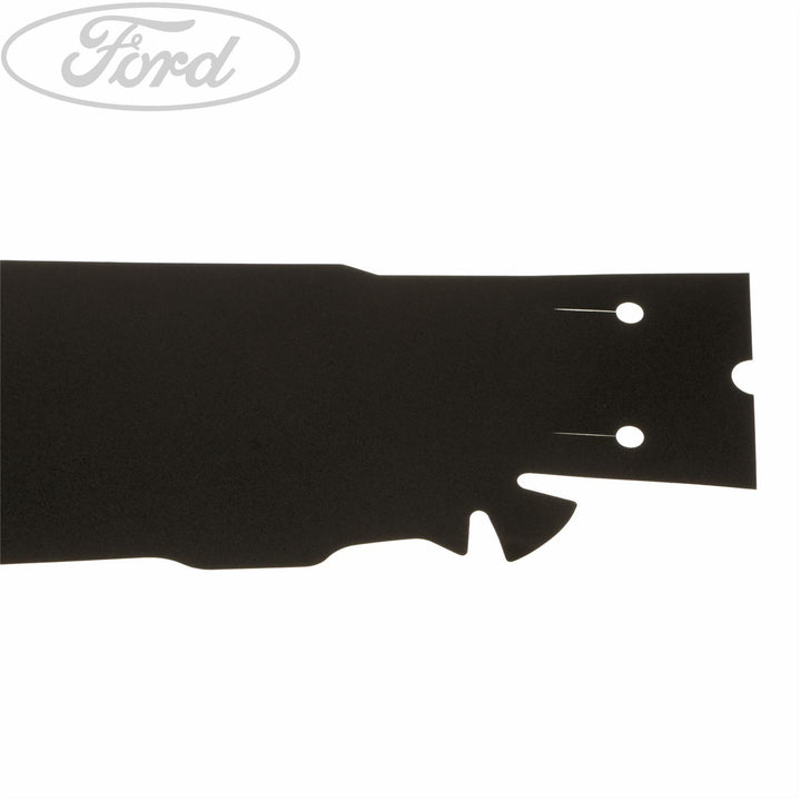 FIESTA REAR DOOR DECAL