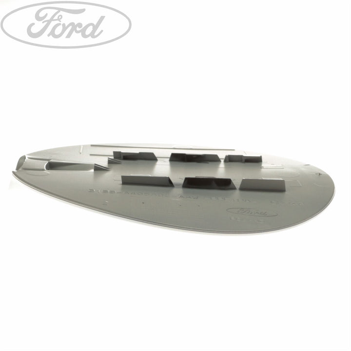 FUEL TANK FILLER ACCESS DOOR FLAP