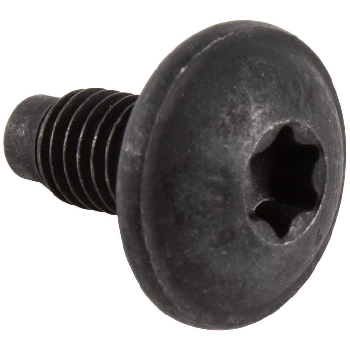 LUGGAGE COMPT/TAILGTE LOCK CONTROLS BOLT PACK OF 5
