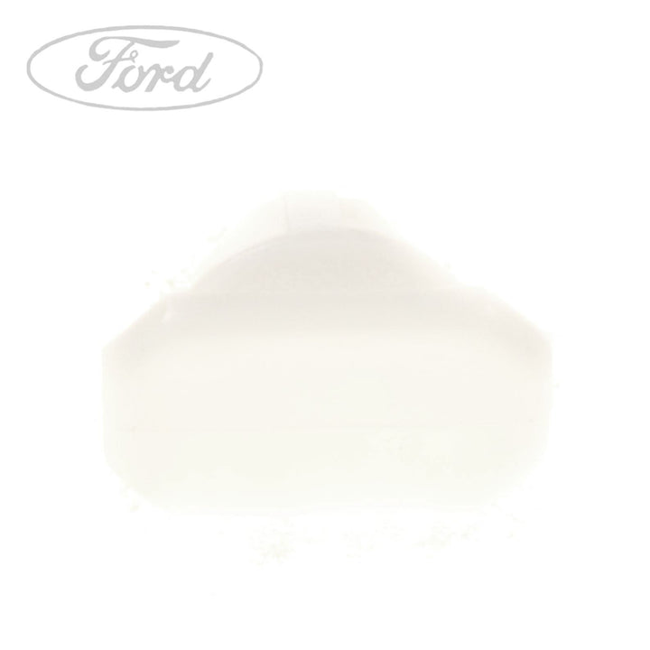 BODY MOULDINGS CLIP