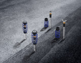 FIESTA ST COILOVER SUSPENSION KIT STAINLESS STEEL WITH POWDER COATED SPRINGS IN FORD PERFORMANCE BLUE 2017 - ONWARD