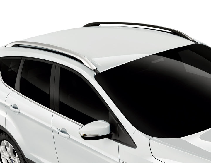 ROOF RAILS WITH FITTING  11/2012