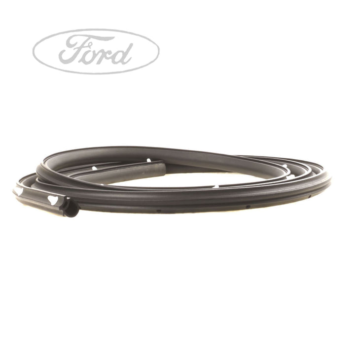 FOCUS FRONT DOOR OPENING WEATHERSTRIP