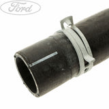 RADIATOR HOSE