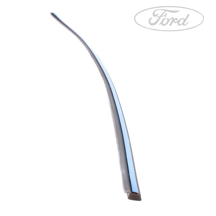 FIESTA N/S ROOF EDGE TRIM MOULDING