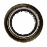 OIL SEALS