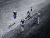 FOCUS COILOVER SUSPENSION KIT STAINLESS STEEL WITH POWDER COATED SPRINGS IN FORD PERFORMANCE BLUE