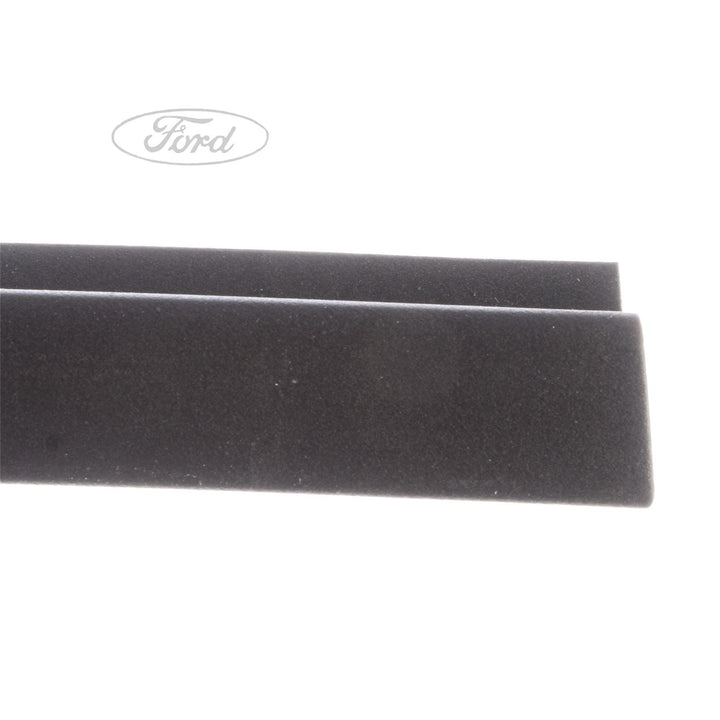 FIESTA N/S ROOF EDGE TRIM MOULDING