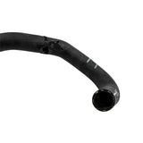Focus 1.5 EcoBlue Lower Radiator Hose Manual 2020-Onwards