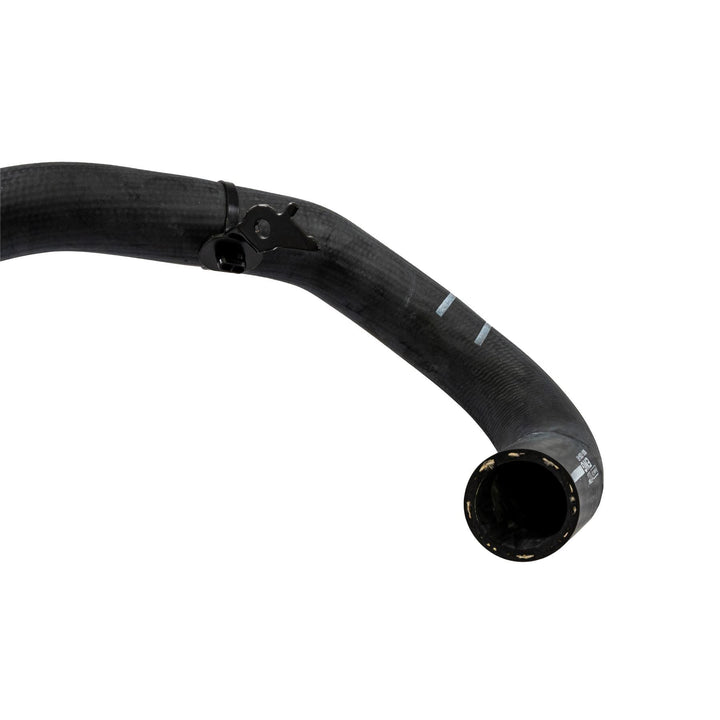 Focus 1.5 EcoBlue Lower Radiator Hose Manual 2020-Onwards