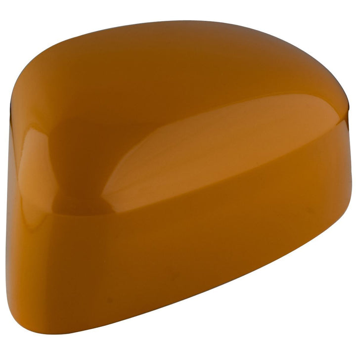 FOCUS FRONT N/S LEFT WING MIRROR HOUSING CAP COVER