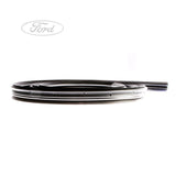 FIESTA FIESTA FRONT DOOR WEATHERSTRIP