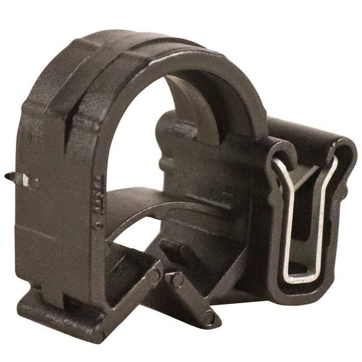 CLIP