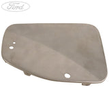 FUEL TANK FILLER ACCESS DOOR