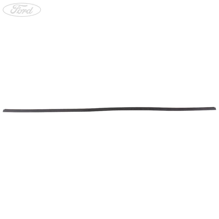 FIESTA N/S ROOF EDGE TRIM MOULDING