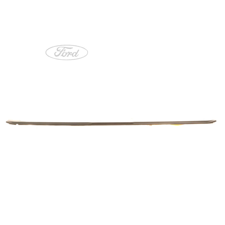 FIESTA DOOR SCUFF PLATE