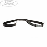 FIESTA DRIVE V BELT