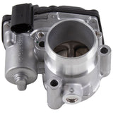THROTTLE BODY AND MOTOR