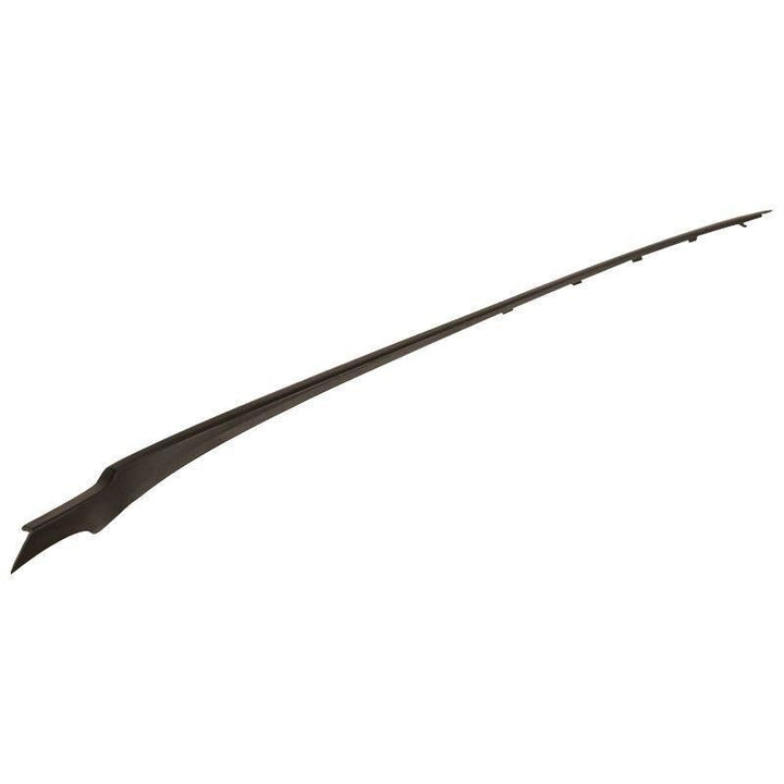 WINDSHIELD MOULDING