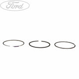 ENGINE PISTON RING KIT